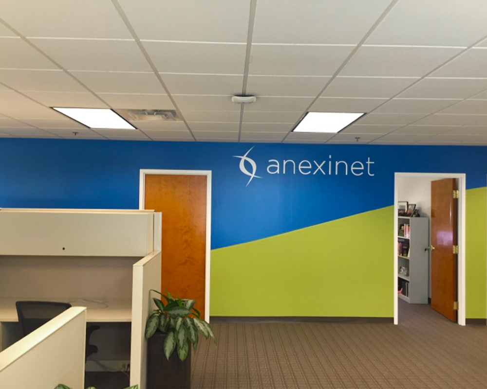 Anexinet Interior Graphics
